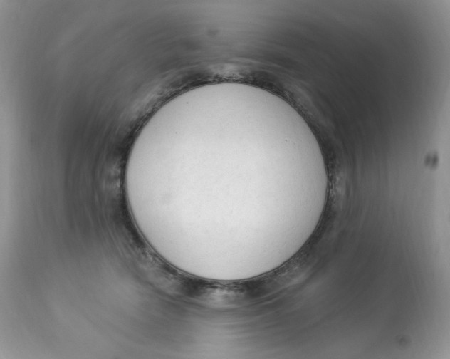 X0000112860466200909111513