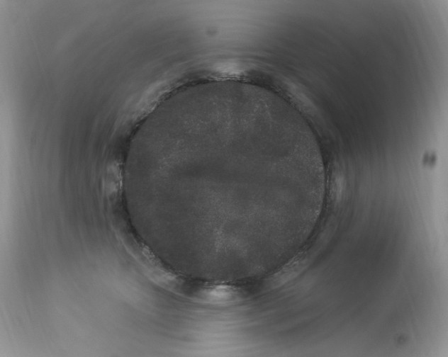 X0000112860467200909111513