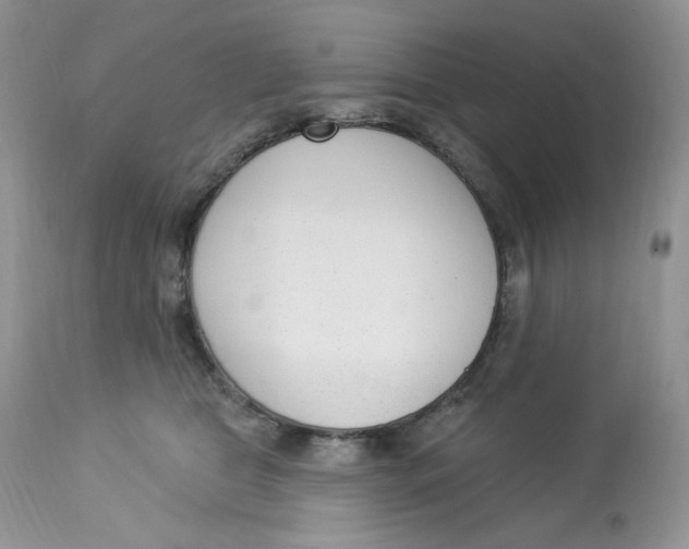 X0000112860469200909111513