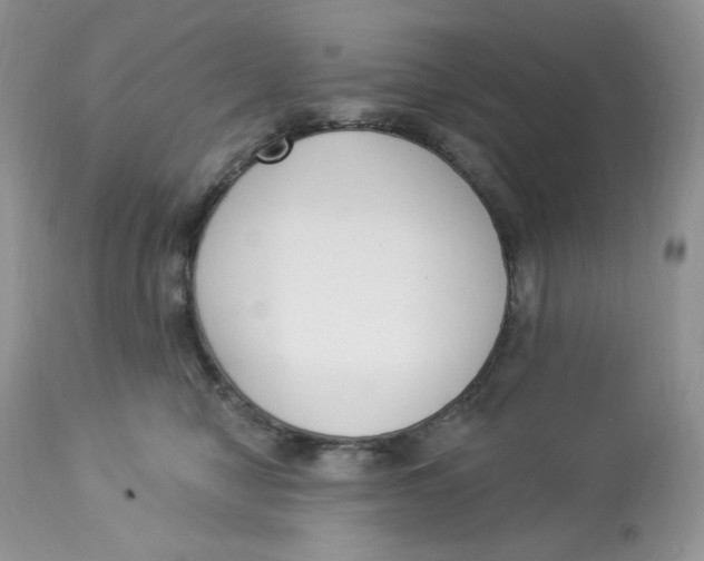 X0000112860470200909111513