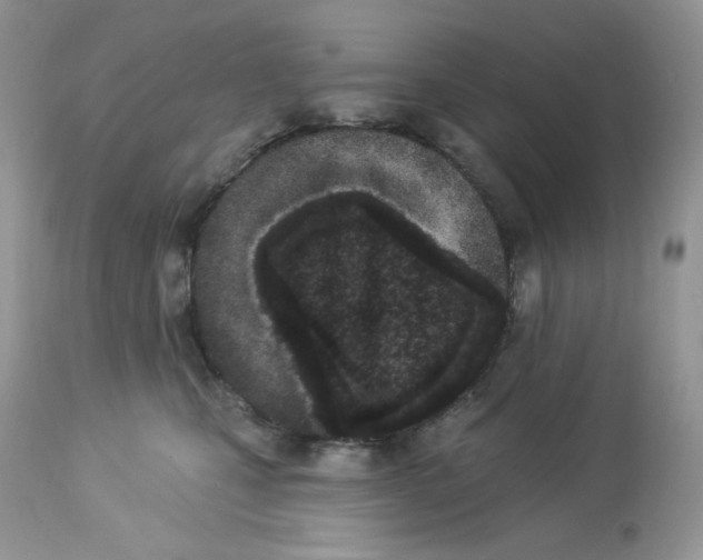 X0000112860471200909111513