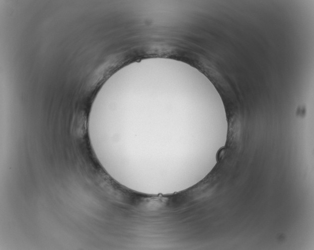 X0000112860474200909111513