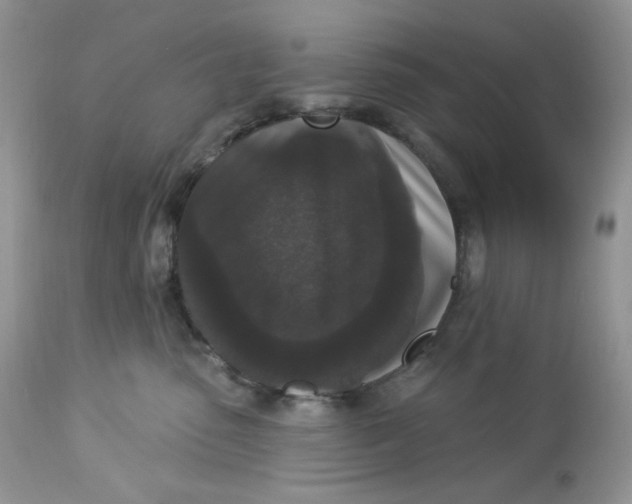 X0000112860475200909111513