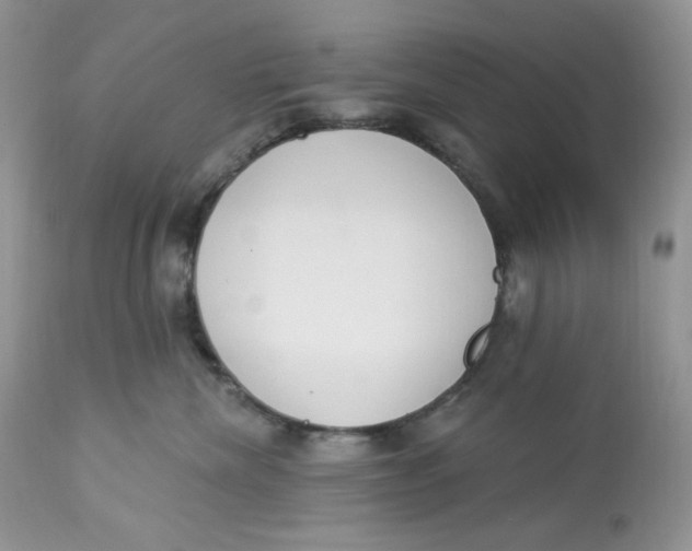 X0000112860476200909111513