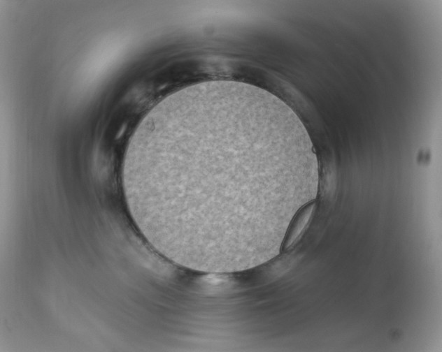 X0000112860477200909111513