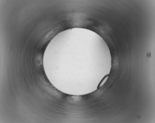 X0000112860478200909111513