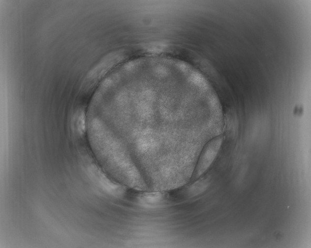 X0000112860479200909111513