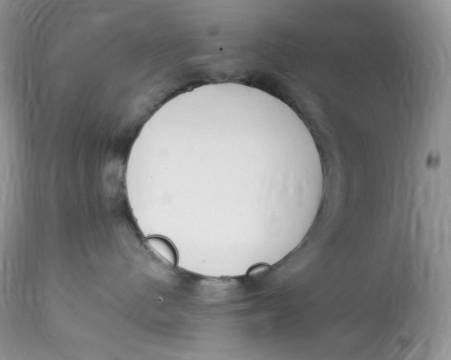 X0000112860480200909111513