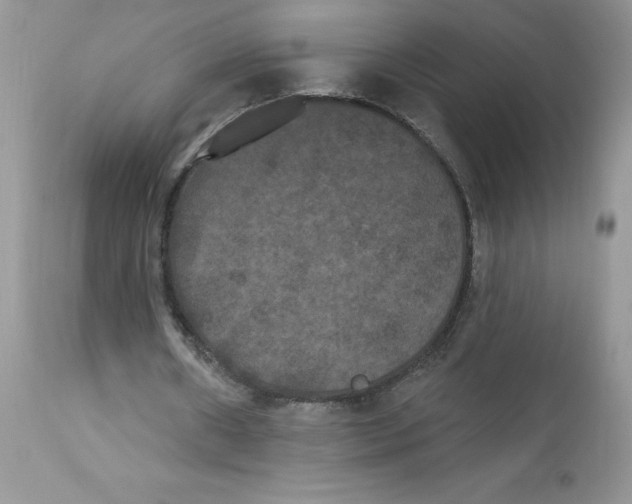 X0000112860482200909111512