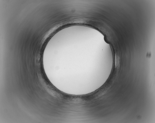 X0000112860483200909111512