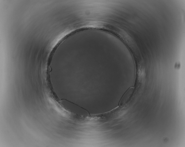 X0000112860484200909111512