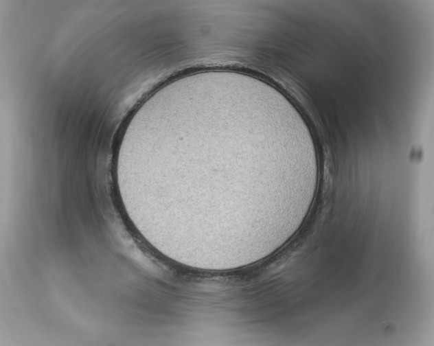 X0000112860485200909111512