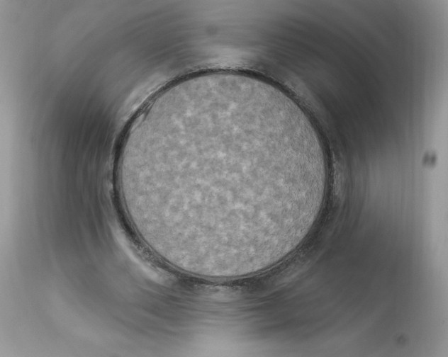 X0000112860486200909111512