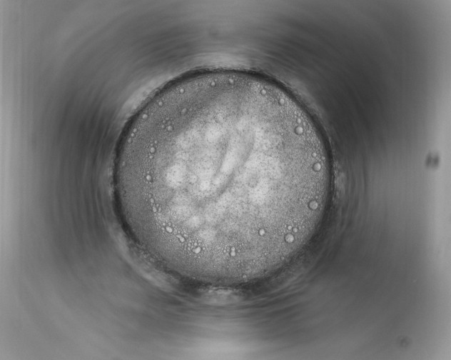 X0000112860487200909111512