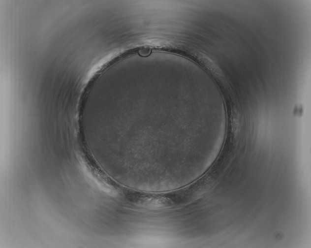 X0000112860488200909111512