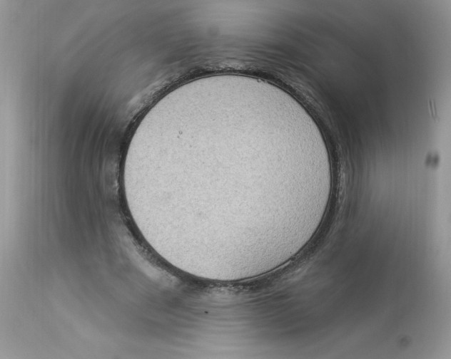 X0000112860489200909111512