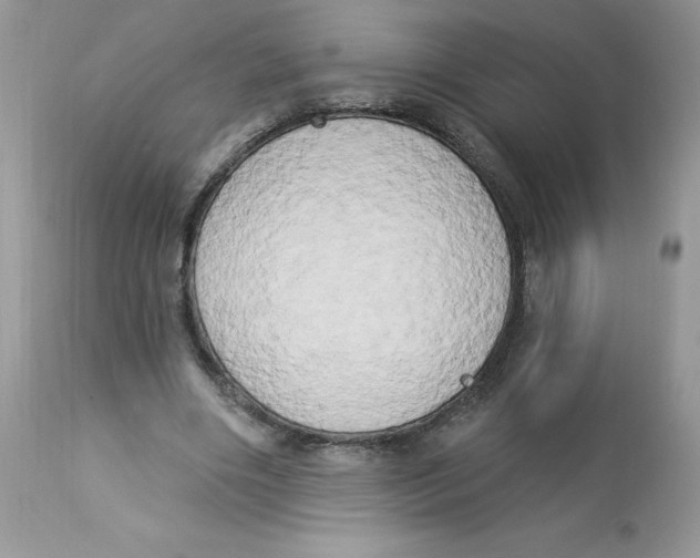 X0000112860490200909111512