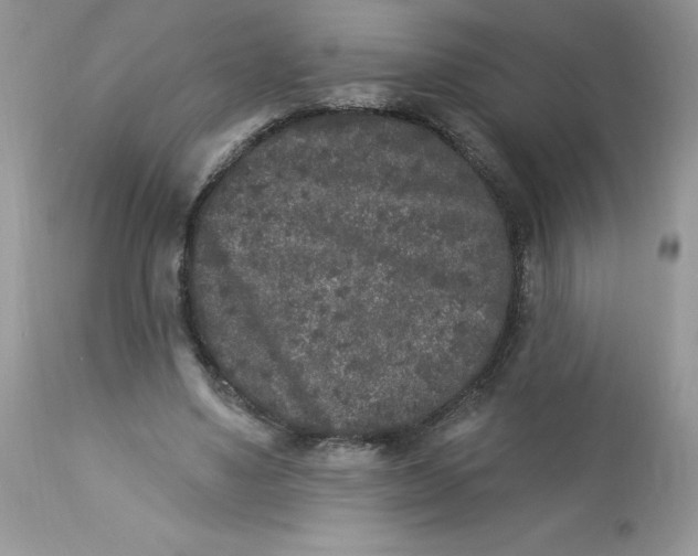 X0000112860491200909111512