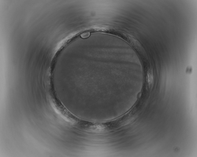 X0000112860492200909111512