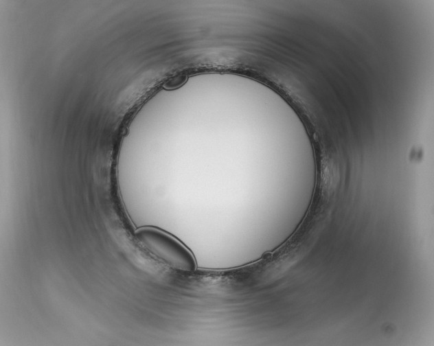 X0000112860493200909111512