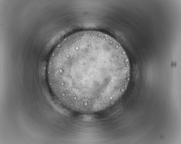 X0000112860495200909111512