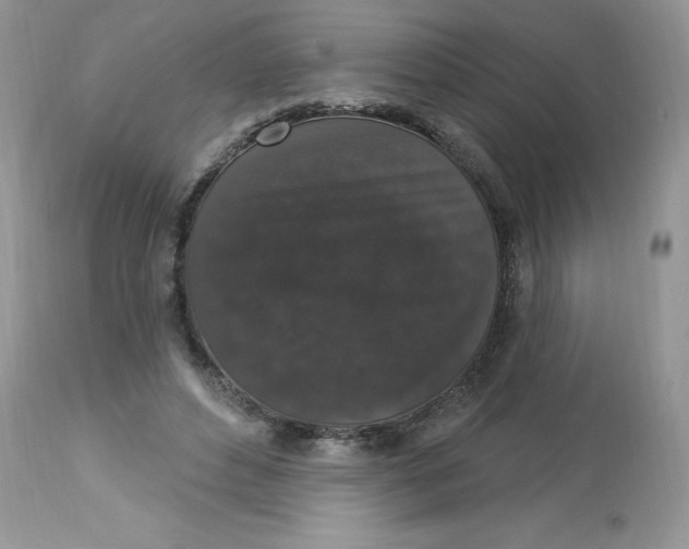 X0000112860496200909111512