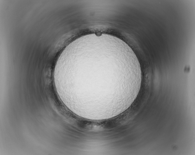 X0000112860498200909111512