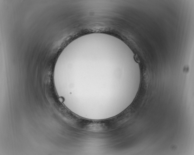 X0000112860499200909111512