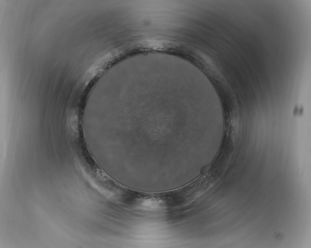 X0000112860500200909111512