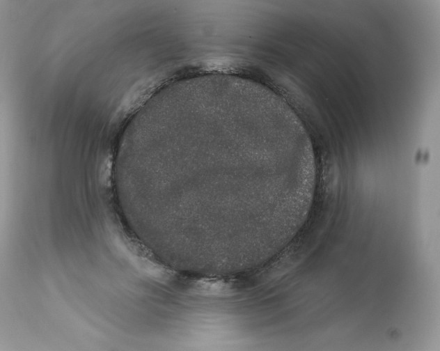 X0000112860502200909111512