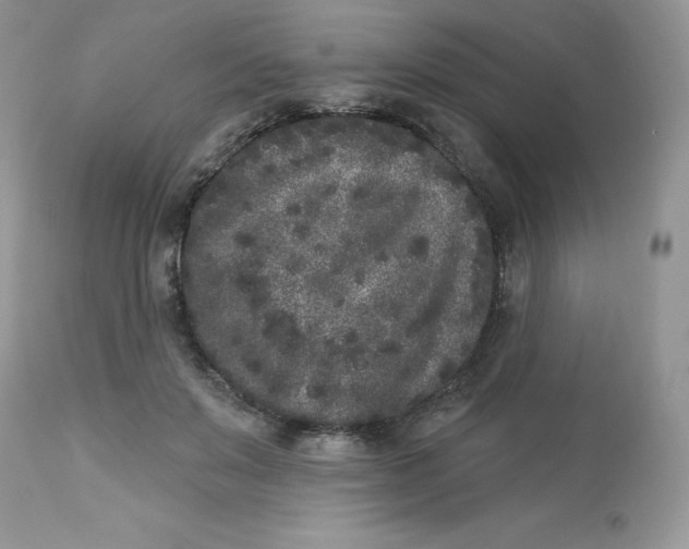 X0000112860503200909111512