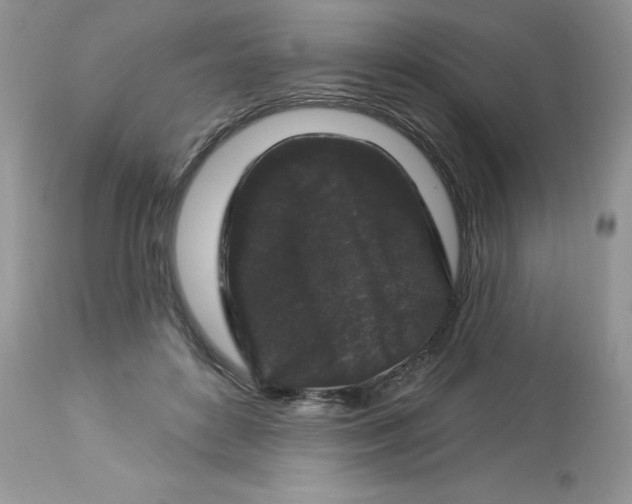 X0000112860504200909111512