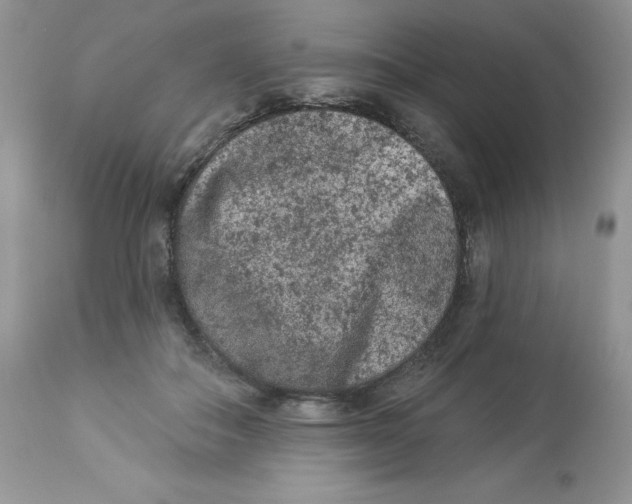 X0000112860506200909111512