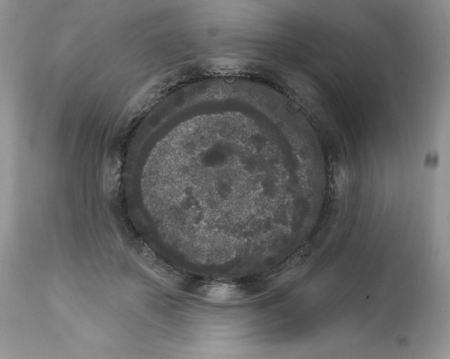 X0000112860507200909111512