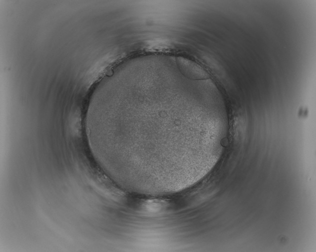 X0000112860508200909111511