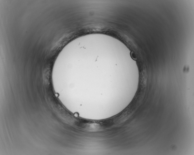 X0000112860509200909111511