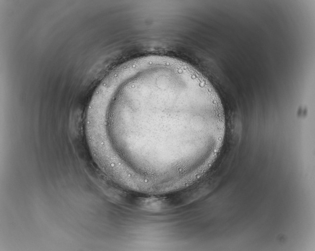 X0000112860511200909111511