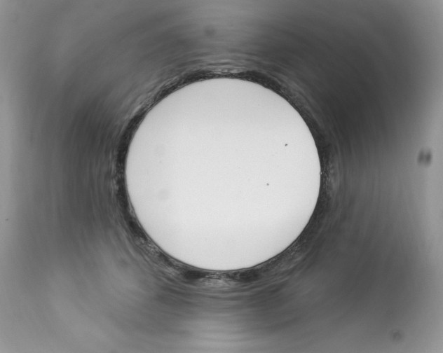 X0000112860512200909111511