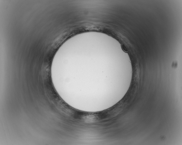 X0000112860513200909111511