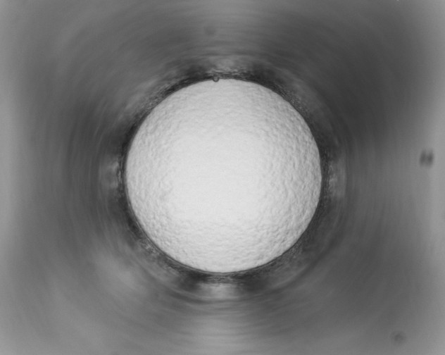 X0000112860514200909111511