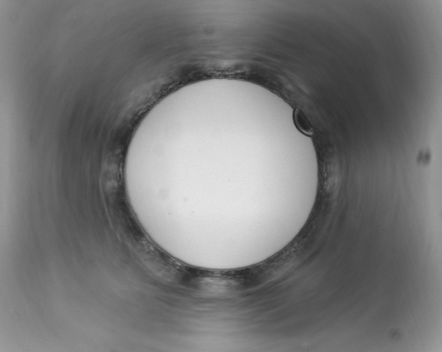 X0000112860515200909111511