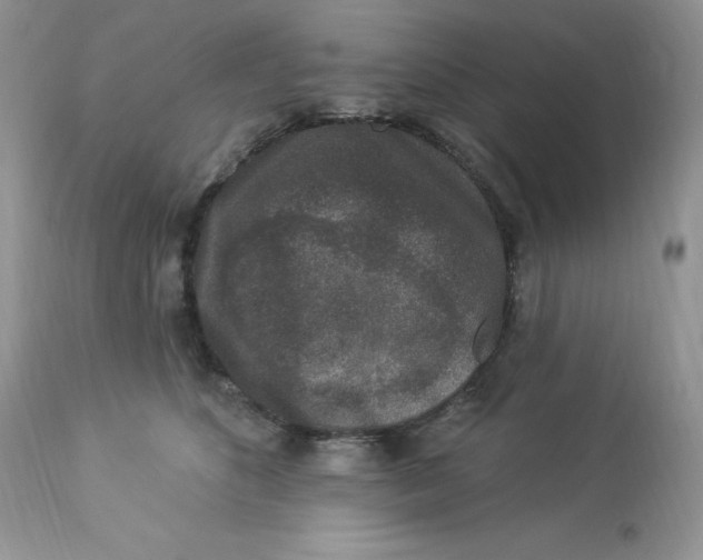 X0000112860516200909111511