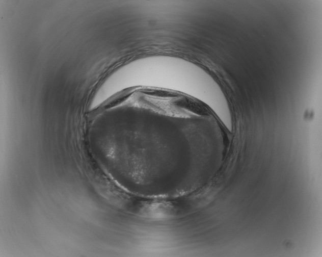 X0000112860517200909111511