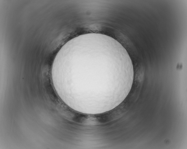 X0000112860518200909111511