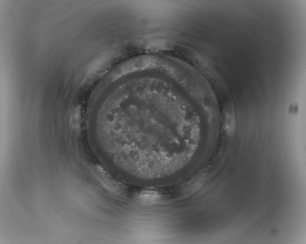 X0000112860519200909111511