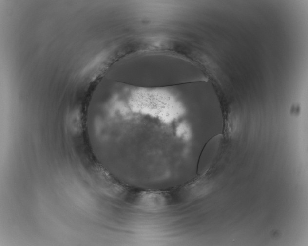 X0000112860520200909111511