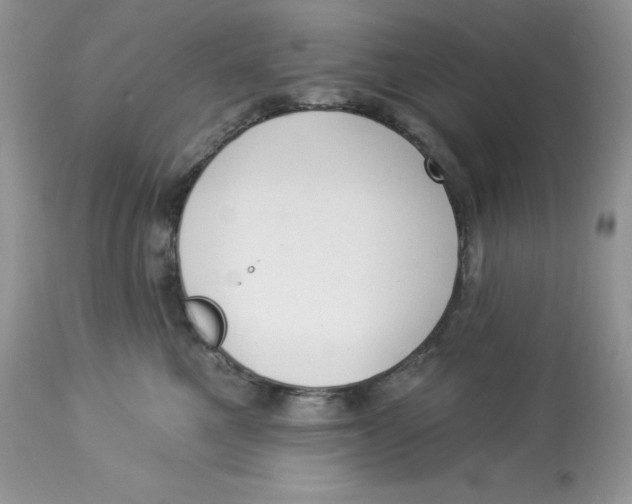 X0000112860521200909111511