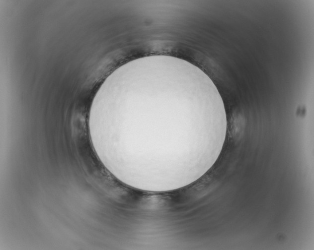 X0000112860522200909111511