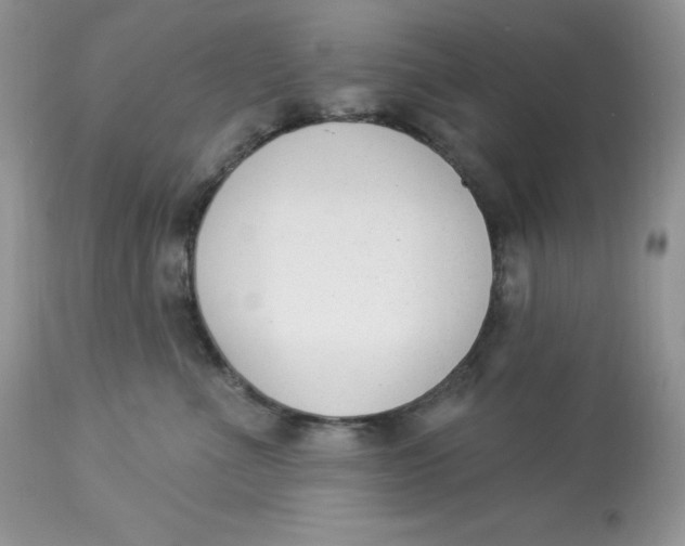 X0000112860523200909111511