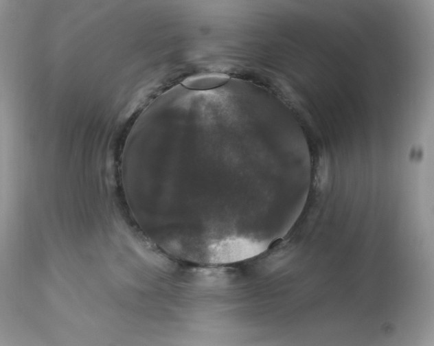 X0000112860524200909111511